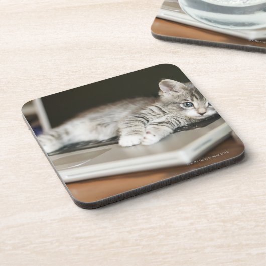 Kätzchen, das auf Laptop-Computer stillsteht Untersetzer (Linke Seite)