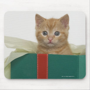 Kätzchen, das aus Geschenkboxen heraus späht Mousepad