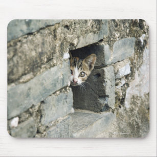 Kätzchen, das aus Wand, Yangshuo, Guangxi heraus Mousepad