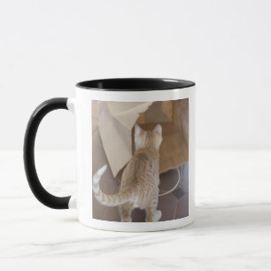 Kätzchen, das den Abgrund einer Tasche untersucht Tasse