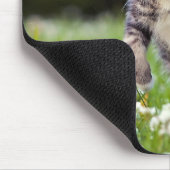 Kätzchen, das durch Klee läuft Mousepad (Ecke)
