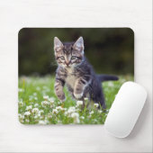 Kätzchen, das durch Klee läuft Mousepad (Mit Mouse)