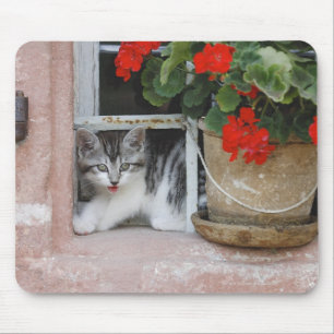 Kätzchen, das heraus Fenster schaut Mousepad