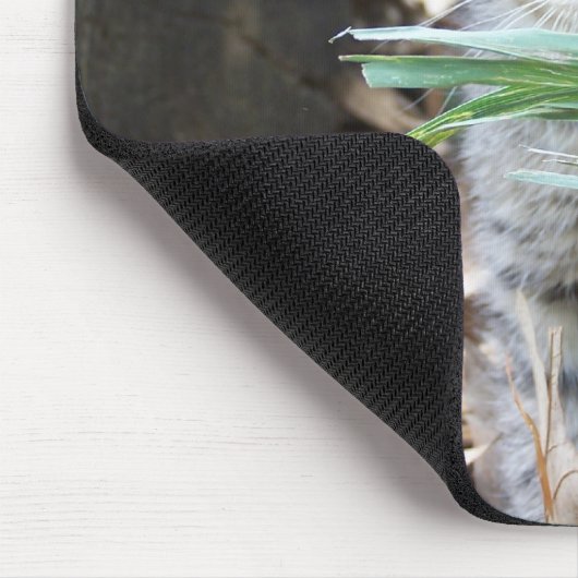 Kätzchen, das hinter Grashalm sich versteckt Mousepad (Ecke)