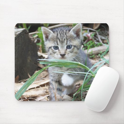 Kätzchen, das hinter Grashalm sich versteckt Mousepad (Mit Mouse)
