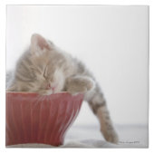 Kätzchen, das in der Schüssel schläft Fliese (Vorderseite)