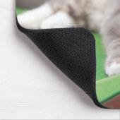 Kätzchen, das Pool spielt Mousepad (Ecke)