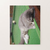 Kätzchen, das Pool spielt Puzzle (Vertikal)