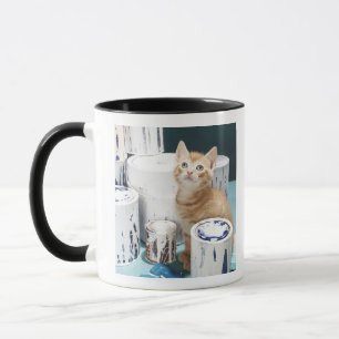 Kätzchen, das unter Farbenzinn sitzt Tasse