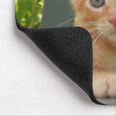 Kätzchen Dax Mousepad (Ecke)