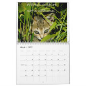Kätzchen der Gewissenhaftigkeit Kalender (Mär 2027)