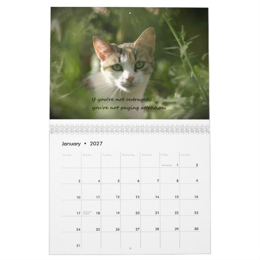 Kätzchen der Gewissenhaftigkeit Kalender (Jan 2027)