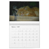 Kätzchen der Gewissenhaftigkeit Kalender (Feb 2027)