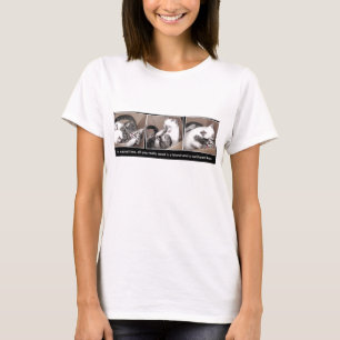 Kätzchen, die in einem Kasten spielen T-Shirt