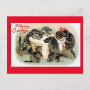 Kätzchen, ein frohes Weihnachten, Postkarte