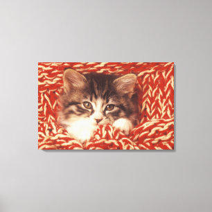 Kätzchen eingewickelt in der woollen Decke, Leinwanddruck