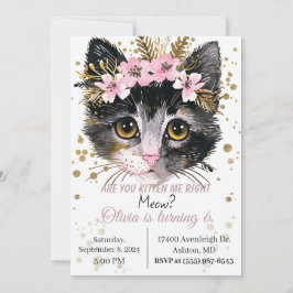 Kätzchen Einladung zum Geburtstag , Katzenpflaster