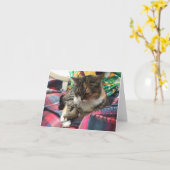 Kätzchen erhalten wohles notecard #2 karte (Gelbe Blume)