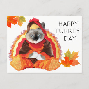 Kätzchen Erntedank Türkei Tag Postcard Feiertagspostkarte