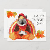 Kätzchen Erntedank Türkei Tag Postcard Feiertagspostkarte (Vorne/Hinten)
