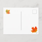 Kätzchen Erntedank Türkei Tag Postcard Feiertagspostkarte (Rückseite)