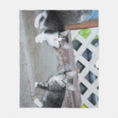 Kätzchen Fleecedecke (Vorderseite)