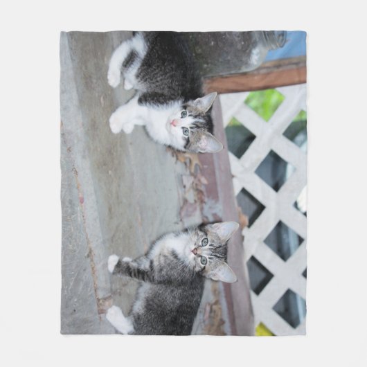 Kätzchen Fleecedecke (Vorderseite)