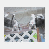 Kätzchen Fleecedecke (Vorderseite (Horizontal))