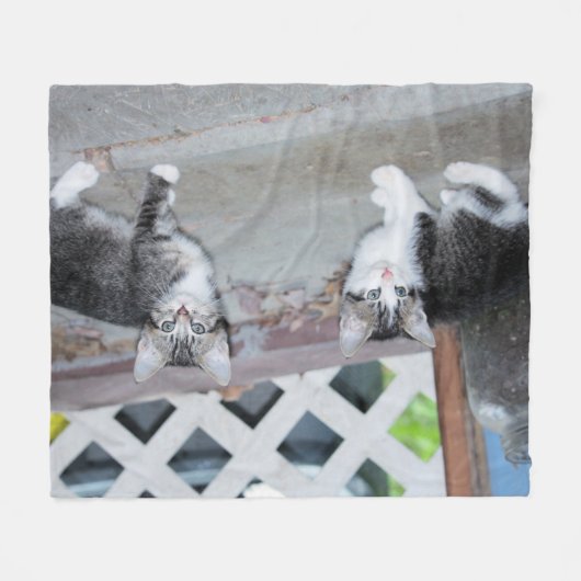 Kätzchen Fleecedecke (Vorderseite (Horizontal))