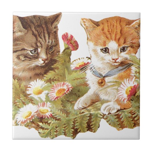 Kätzchen Fliese (Vorderseite)