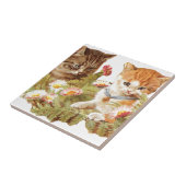 Kätzchen Fliese (Seite)