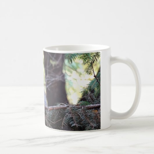 Kätzchen Foto Baby Katze ,Weiße 325 ml Klassische Kaffeetasse (Rechts)