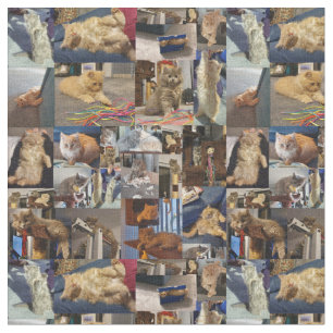 Kätzchen-Foto-Collage, Stoff