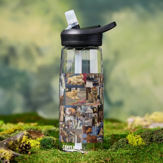 Kätzchen-Foto-Collage, Trinkflasche (Außenbereich)