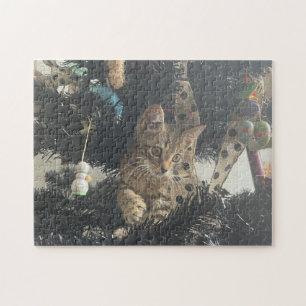 Kätzchen-Foto Tier Haustier Katze Puzzle