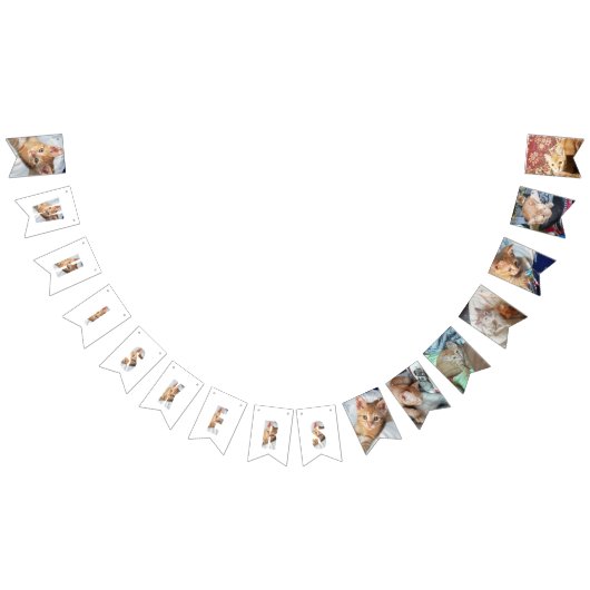 Kätzchen-Foto Wimpelkette (Alle)