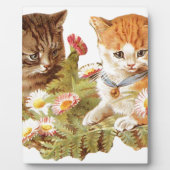 Kätzchen Fotoplatte (Vorderseite)