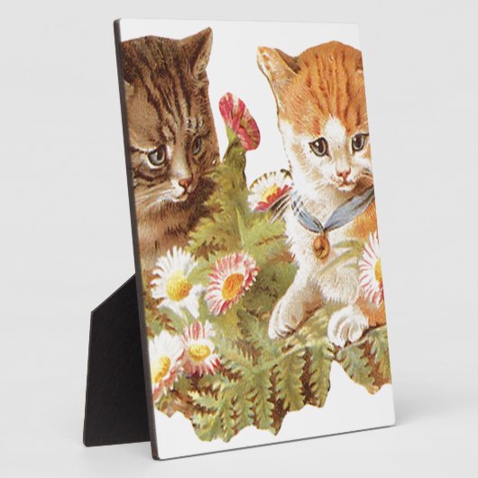 Kätzchen Fotoplatte (Seite)