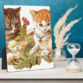 Kätzchen Fotoplatte (Seite)