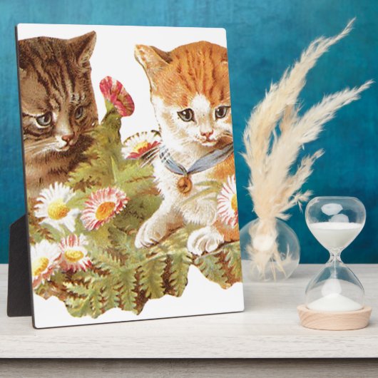 Kätzchen Fotoplatte (Seite)