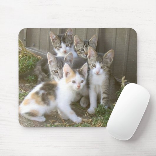 Kätzchen-Freunde Mousepad (Mit Mouse)
