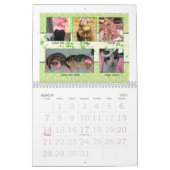 KÄTZCHEN FÜR EINEN HEILUNGS-KALENDER 1 2014 KALENDER (Mär 2027)