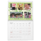 KÄTZCHEN FÜR EINEN HEILUNGS-KALENDER 2 2014 KALENDER (Mär 2027)