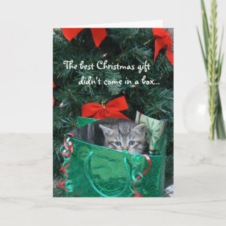 Kätzchen-Geschenk-Weihnachtskarte Feiertagskarte