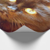 Kätzchen Geschenkpapier (Ecke)