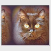 Kätzchen Geschenkpapier (Flach)