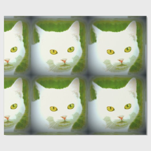 Kätzchen Geschenkpapier (Flach)