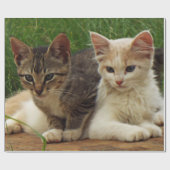 Kätzchen Geschenkpapier (Flach)