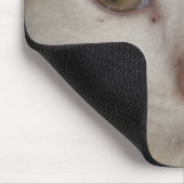 Kätzchen Gesicht 1 Mousepad (Ecke)