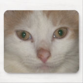Kätzchen Gesicht 1 Mousepad (Vorne)